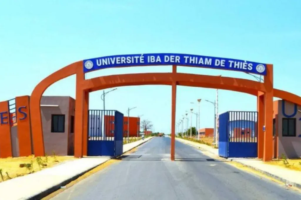 CUAD × UIDT : du studio au diplôme, un parcours diplômant en architecture